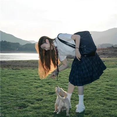 绝对统治